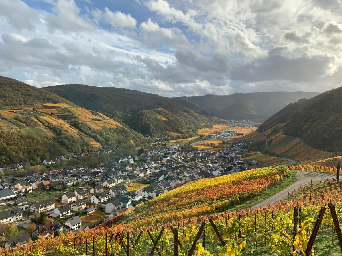 Rheinvilla Arte Remagen Dış mekan fotoğraf