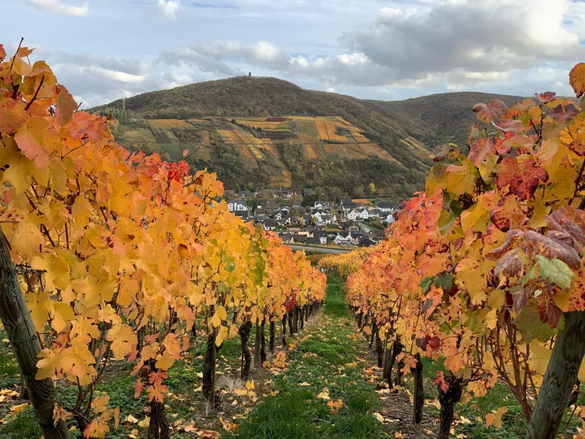 Rheinvilla Arte Remagen Dış mekan fotoğraf